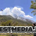 104 Hektare Hutan Lindung di Gunung Agung Terbakar