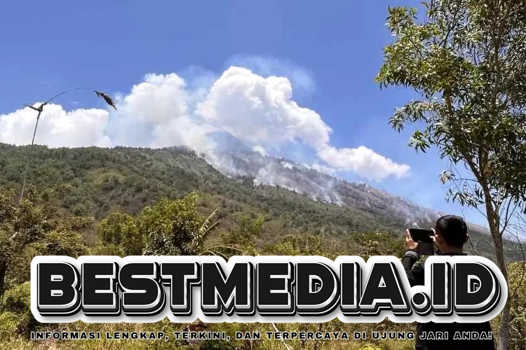 104 Hektare Hutan Lindung di Gunung Agung Terbakar