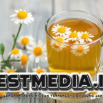 Teh Chamomile: Minuman Alami untuk Meredakan Stres dan Menjaga Kesehatan Pencernaan