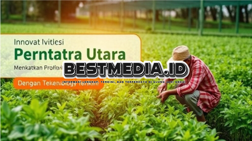 Inovasi Pertanian Sumatera Utara: Meningkatkan Produktivitas dan Kesejahteraan Petani dengan Teknologi Terkini