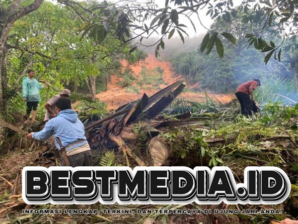 Longsor Mematikan di Padanglawas, Empat Korban Jiwa