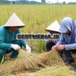 Petani Masa Depan: Jawa Barat Luncurkan Program Petani Digital 2024