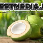 Menurunkan Berat Badan dengan Kelapa, Bagaimana Caranya?