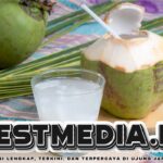 Rutin Minum Air Kelapa Bisa Redakan Penyakit Apa? Berikut 6 Daftarnya