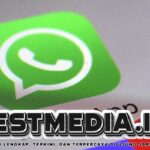 Cara Cek Kontak Obrolan WhatsApp yang Paling Boros Memori