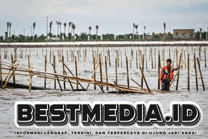 Sejumlah Kepala Desa Dilaporkan atas Dugaan Penyimpangan Pagar Laut Tangerang