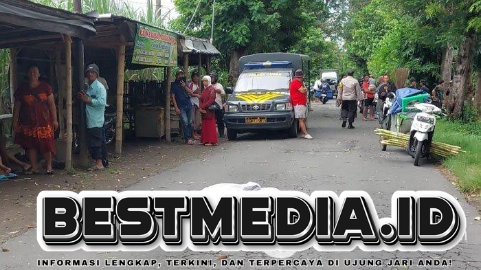 Pohon Tumbang di Kediri, Pengendara Motor Jadi Korban