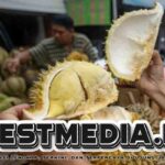 Efek Samping Makan Durian Berlebihan, Waspadai Risiko Kesehatannya