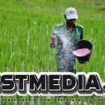 Distribusi Pupuk Subsidi di Maluku, Hanya Butuh KTP