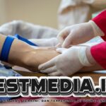 Pentingnya Asupan Zat Besi untuk Meningkatkan Hemoglobin Sebelum Donor