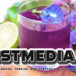 Waktu yang Tepat untuk Minum Bunga Telang agar Manfaatnya Maksimal