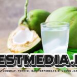 Apa Manfaat Minum Air Kelapa Setiap Hari? Berikut 10 Daftarnya